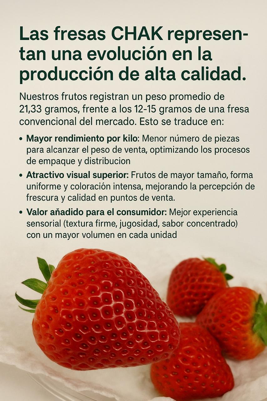 Imagen de galeria 11